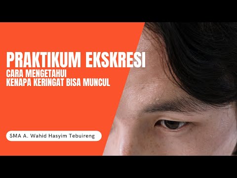 Cara Mengetahui Kenapa Keringat Bisa Muncul | Praktikum Ekskresi