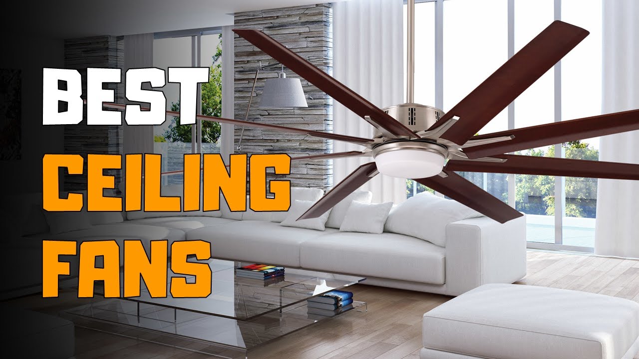 Only fans ceiling fans