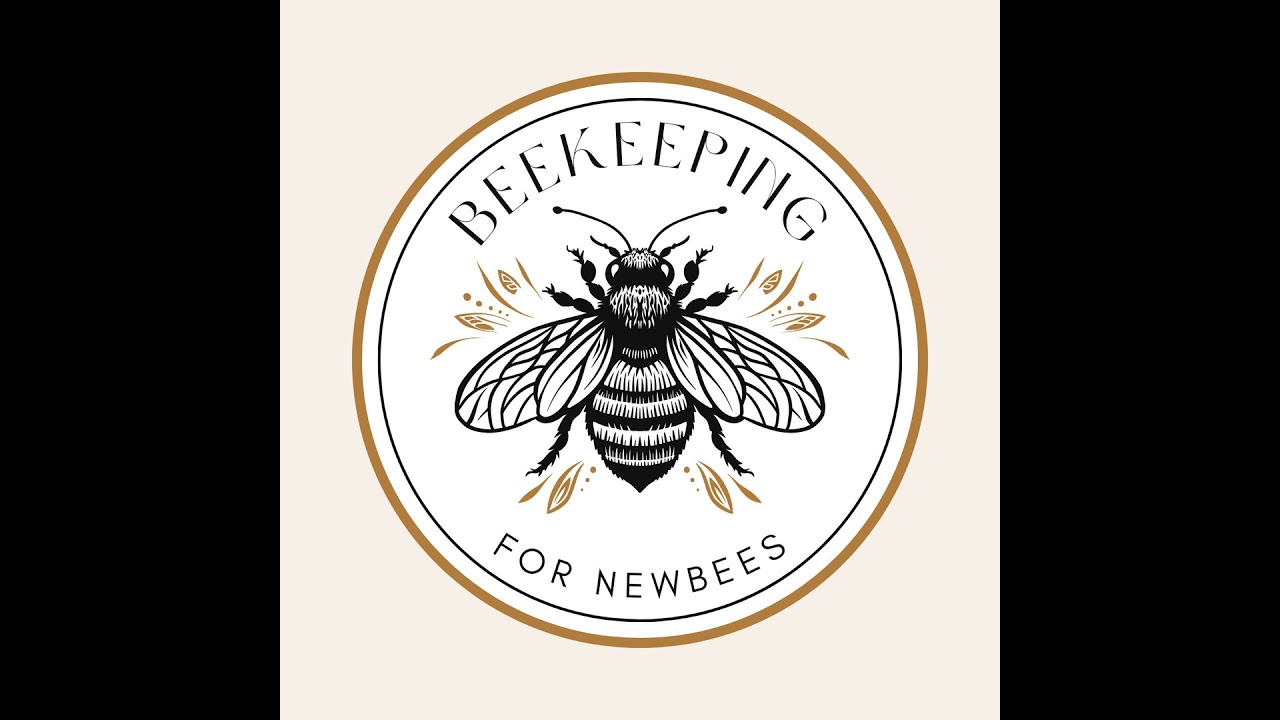 Episode 178 – The Bee Buzz (30): Winter Prep, Ventilation & Varroa Reality Check 🐝💭