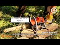 Бензопила Daewoo DACS 5820XT – видео обзор Daewoo DACS 5820XT chainsaw review