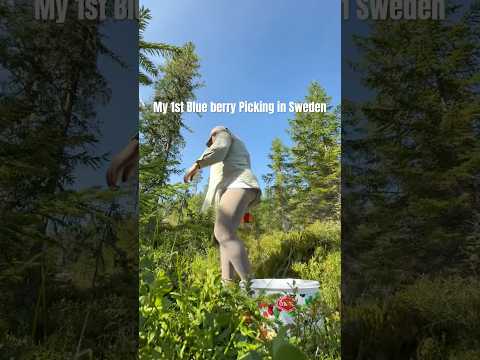 Blue Berry Nature Makingmoney Viralshort Fyp Fy Shortsvideo