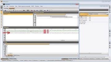 Import and assemble MLST sequencer trace files (BioNumerics 7.5 & 7.6)