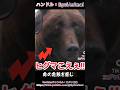 ヒグマ怖すぎるだろ…化け物だ！！#熊 #animals #動物 #おもしろ