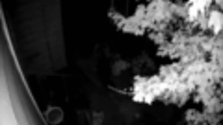 DPD seeks help identifying person of interest in A...