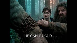 Grawp | Chapter 30 | Harry Potter and the Order of the Phoenix