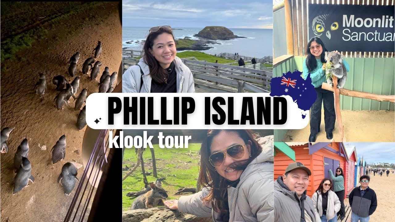 PHILLIP ISLAND KLOOK TOUR || MOONLIT SANCTUARY || BRIGHTON BEACH