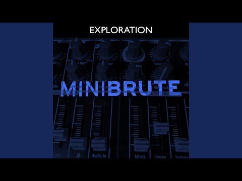 Watch MiniBrute Plays Well With Others on YouTube