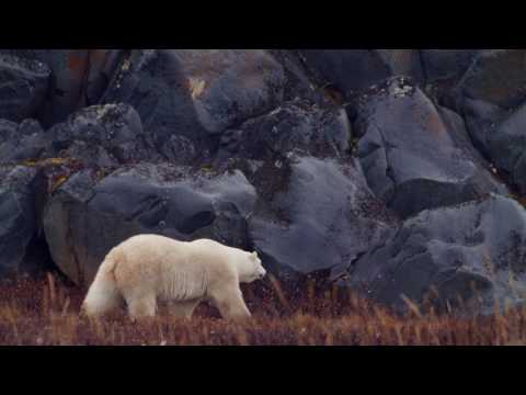 How a Trip to Manitoba Will Change Your Life