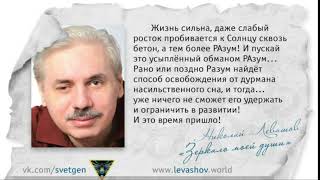 Россия в Кривых Зеркалах. Н. В Левашов. Глава 1.18.