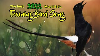 MASTERAN MURAI BATU 2022