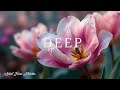 Relaxing Piano Strings ~ Peaceful Study Music for Deep Focus & Calm
