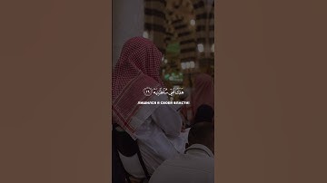 ( يَا لَيْتَهَا كَانَتِ الْقَاضِيَةَ ) تلاوة باكية لفضيلة الشيخ د. #محمد_اللحيدان 💛
