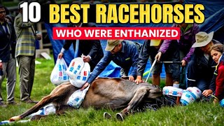 10 BEST RACEHORSES WHO WERE ENTHANIZED EARLIER | HEARTBREAKING MOMENTS IN EQUINE HISTORY by Facts Smashers  1,514 views 1 month ago 5 minutes, 20 seconds