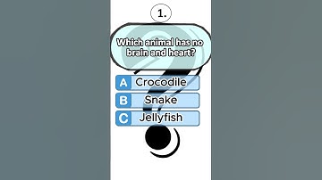 Ultimate Quiz Battle – Beat the Clock! ⚡ #shorts #ytshorts