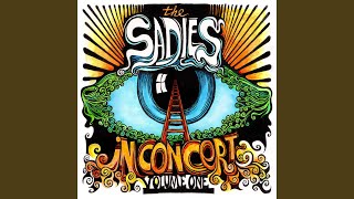 Video thumbnail of "The Sadies - Within a Stone (Live)"