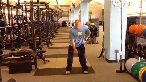 Single Arm Dumbbell High Pull