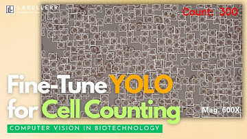 Fine-Tune YOLO for Cell Counting