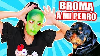 FINJO SER un ALIEN! Asustando a mi Perro! Play con SandraCiresArt