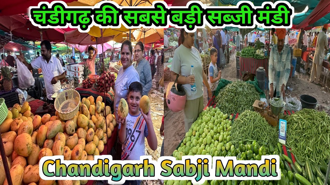 चंडीगढ़ की सबसे बड़ी सब्जी मंडी Chandigarh Sabji Mandi 🫑🍅🥒🥭|#viral #dailyvlog #sabjimandi #viral