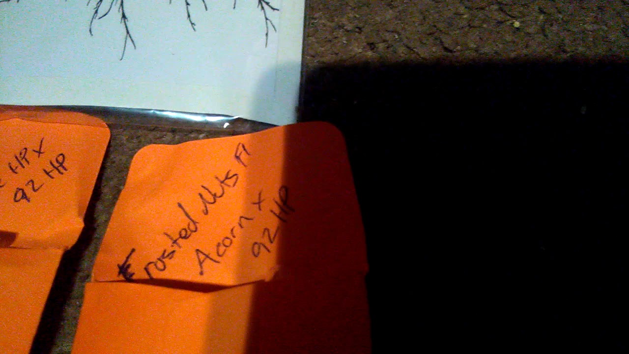 Mail call from my boy DR WIGGLE WIGGLE ROOTS