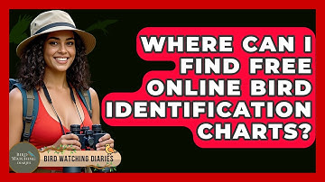 Where Can I Find Free Online Bird Identification Charts? - Bird Watching Diaries