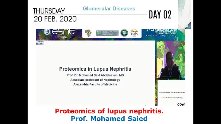 Proteomics of lupus nephritis. Prof. Mohamed Saied
