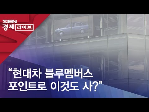   현대차 블루멤버스 포인트로 이것도 사