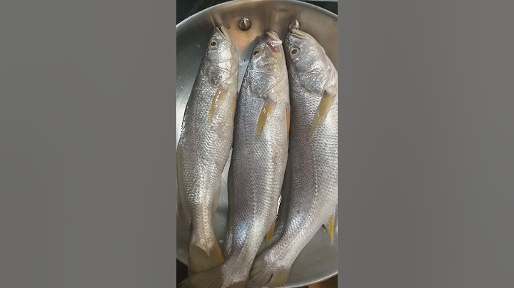இன்று நான் வாங்கிய பன்னா மீன்/I bought panna mutti fish #fish #youtubeshorts #shorts