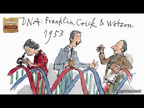 فيديو: ماذا اكتشف واتسون وكريك؟