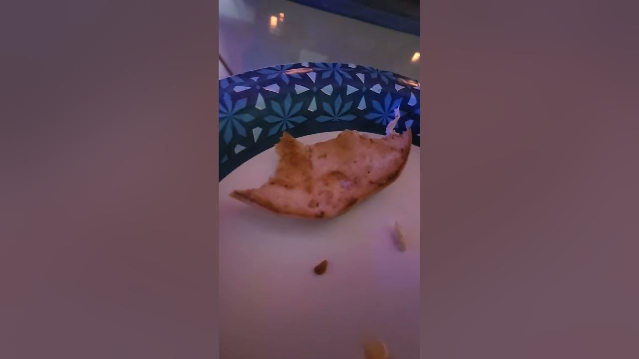 the-bagel-experience-youtube