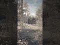 3d Game Environment | Forest path | Unreal Engine 5