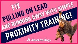 Fix Pulling On Lead and Running Away With Simple Proximity Training!