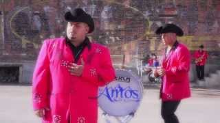 Video thumbnail of "Los Amos De La Sierra Mi Verdad 2014"