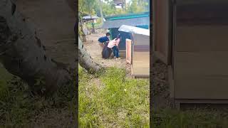 06 mei 2022 (part 2)