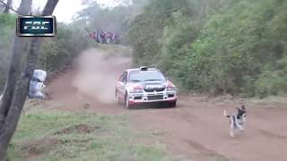Задавил собаку? Mitsubishi Lancer Evolution RALLY VIDEO Rally Car Jumps Over Dog Задавил собаку? Mitsubishi Lancer Evolution RALLY VIDEO Rally Car Jumps Over Dog