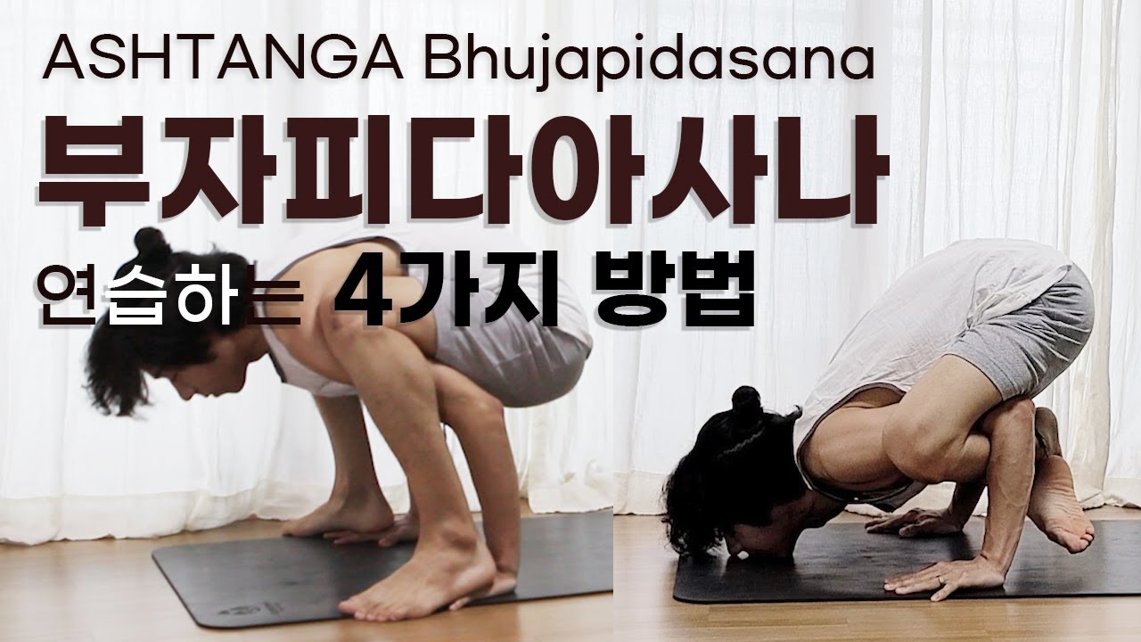[아쉬탕가] 부자피다아사나 연습하는 4가지 방법 / ASHTANGA Bhujapidasana