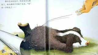 兒童有聲繪本故事《獾的美餐》