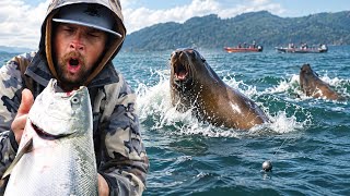 BATTLING Sea Lions In Astoria, Oregon. INSANE Fishing Turns To Literal NIGHTMARE!