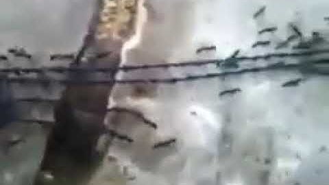 خير الكلام هداء وبرهان في كل عصران وان القران الكريم (3)