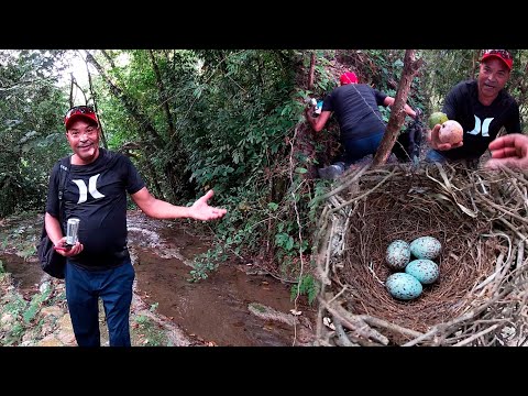 Camino a la casa del campo de Luis un paraíso en palo blanco, la vida del del campo es saludable