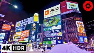 Exploring Sapporo's Underground & Red Light District // 4K HDR Spatial Audio