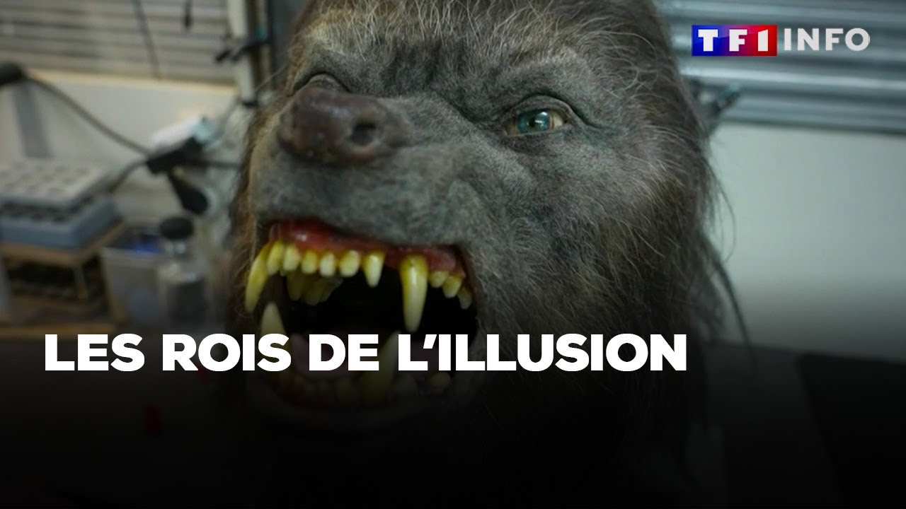 On vous montre l'envers du décor des effets spéciaux au cinéma avec les rois de l'illusion｜TF1 INFO