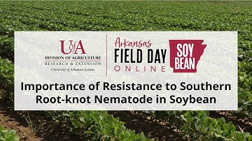 Soybean Field Day Online - Southern Root-knot Nematode Resistance