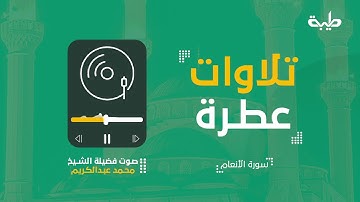 تلاوات عطرة | القارئ الشيخ محمد عبدالكريم | 13 رمضان