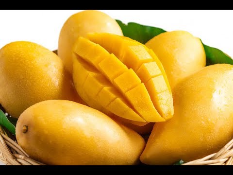 Video: Mango - veti të dobishme dhe kundërindikacione