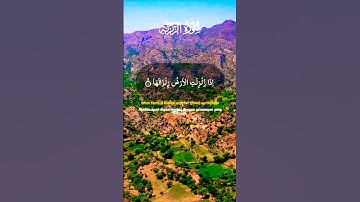 تلاوة تفوق الوصف بصوت يريح قلبك #elmulquranعلم #قران_كريم #تلاوة #المصحف #trend #اكسبلور #aslam