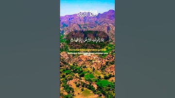 تلاوة تفوق الوصف بصوت يريح قلبك #elmulquranعلم #قران_كريم #تلاوة #المصحف #trend #اكسبلور #aslam