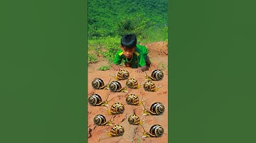 Survival Skills: SIMPLE and USEFUL with Snails #bushcraft #camping #outdoors
