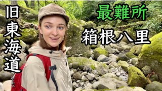 【箱根八里】旧東海道を歩く。そこに圧巻の新緑絶景が...