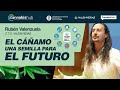 CANNABIS HUB 🌱 ¿Se puede llegar a sustituir PLÁSTICO por el CÁÑAMO? 🤔  (Descúbrelo) #hemp #agritech